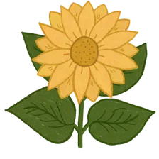 Full bloom at 100%