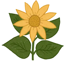 Blooming at 100%