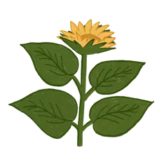 Blooming at 40%