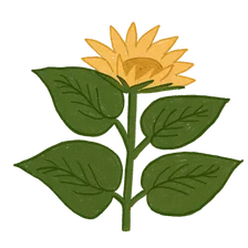 Blooming at 60%