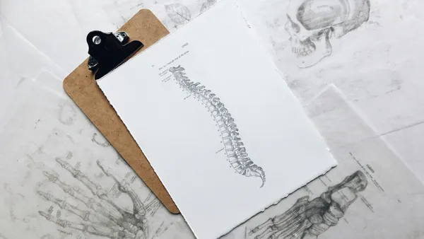 Drawings of body skeleton parts: vertebrae, hand, foot, and skull
