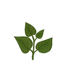 Growing at 60%