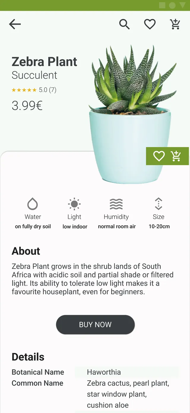The mobile screen design of a Product Page pattern presenting a zebra plant