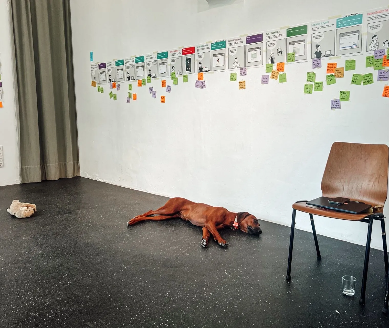 A brown dog laying on the floor of a coworking space