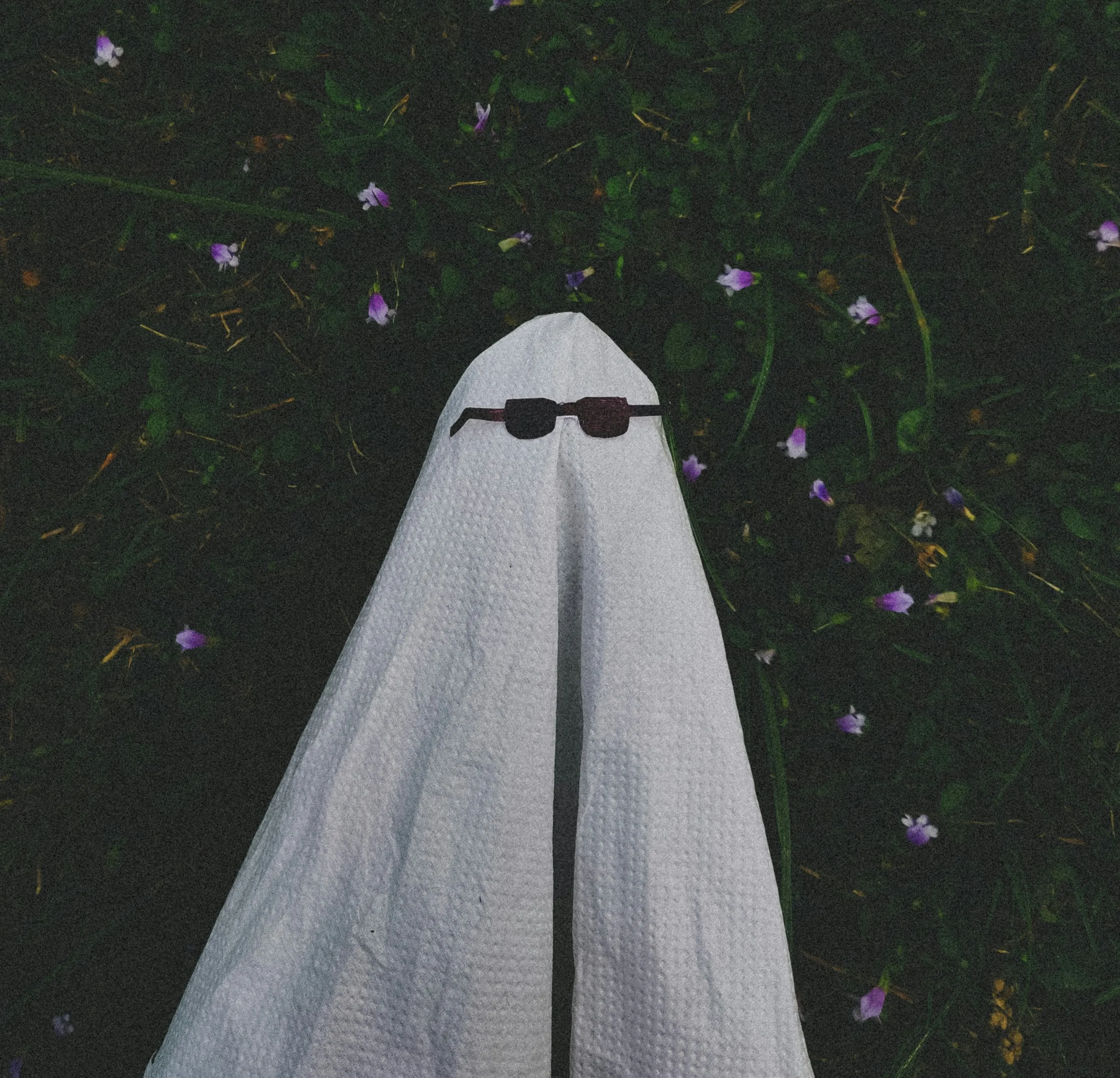 Rana Ebrahim