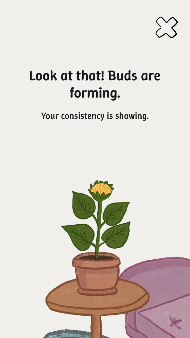 The check-in confirmation screen
