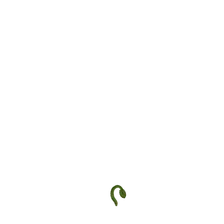 Seedling at 100%