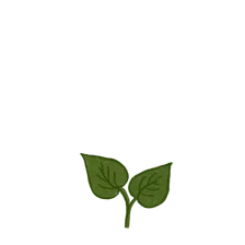 Sprouting at 100%